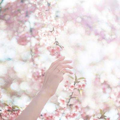 我在清朝当宰相官方版下载